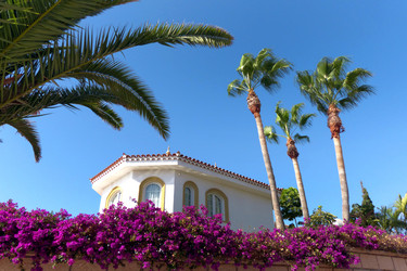 Similar image 11283704