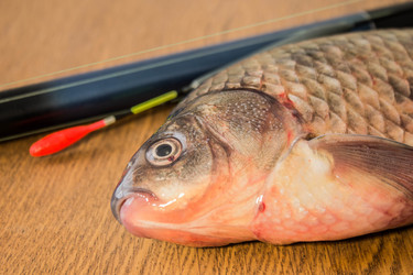 Similar image 11276404