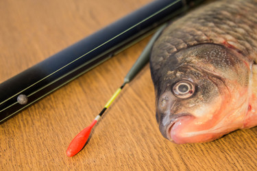 Similar image 11276405