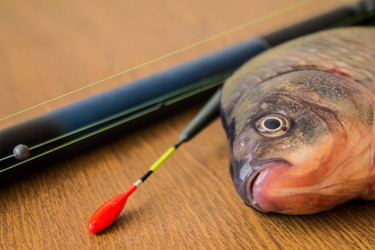 Similar image 11276406