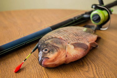 Similar image 11276407