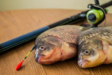 Similar image 11276423