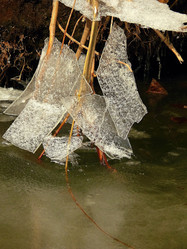 Similar image 11276983