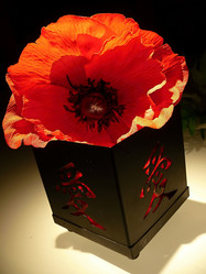 Similar image 11276985