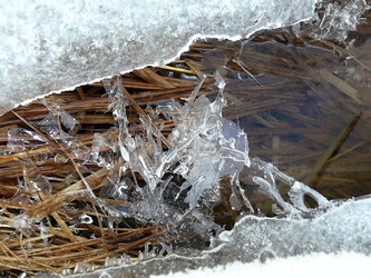 Similar image 11276987