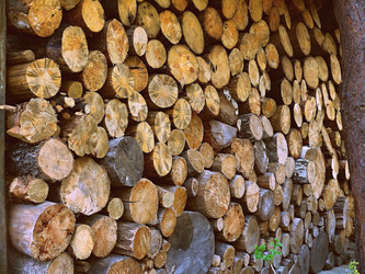 Similar image 11276990