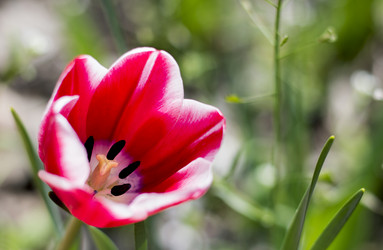 Similar image 11276494