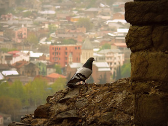 Similar image 11276958