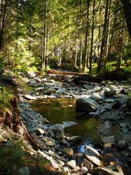 Similar image 11276964