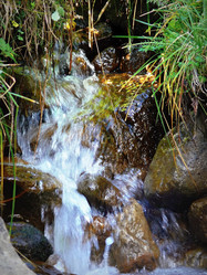 Similar image 11276977