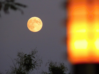 Similar image 11276980