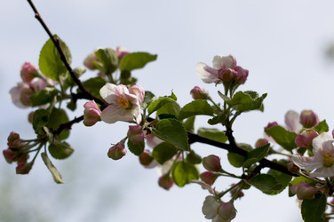 Similar image 11276500