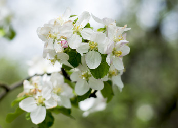 Similar image 11276501