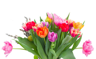 Similar image 11280067