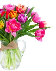 Similar image 11280068