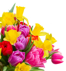 Similar image 11280069