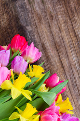 Similar image 11280074