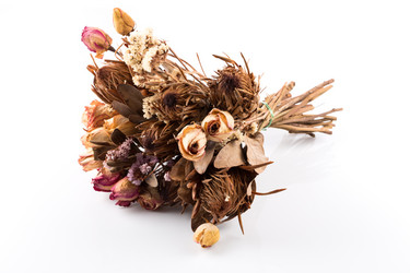 Similar image 11278272