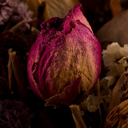 Similar image 11278347