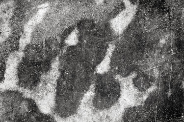 Similar image 11278304