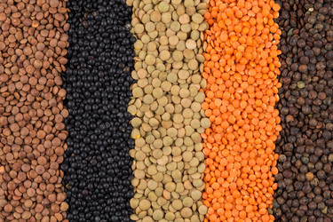 Similar image 11278311