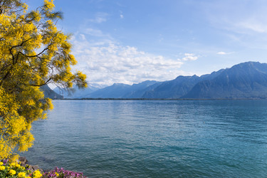 Similar image 11278313