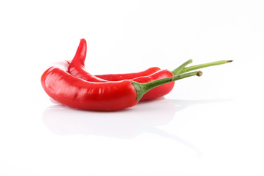 Similar image 11278455