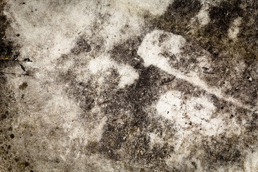 Similar image 11278542