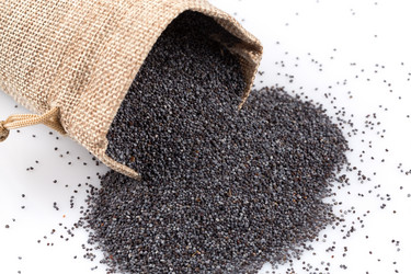 Similar image 11278099