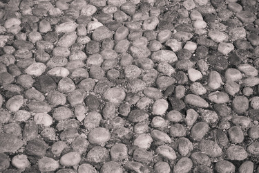 Similar image 11278100