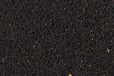 Similar image 11278104