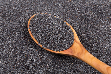 Similar image 11278135