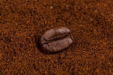 Similar image 11278168