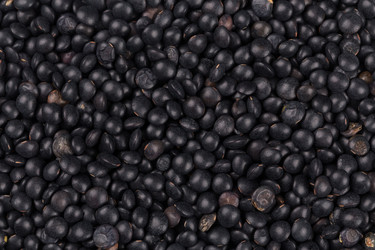 Similar image 11278172