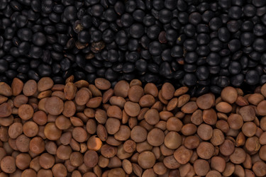 Similar image 11278214