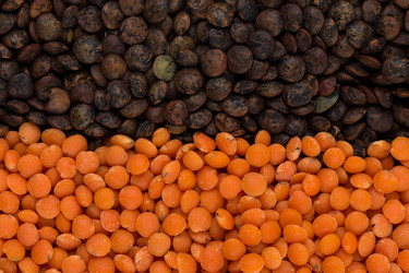 Similar image 11278226