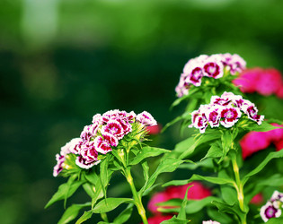 Similar image 11276595