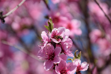 Similar image 11330962