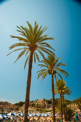 Similar image 11282549