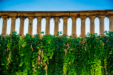 Similar image 11282552