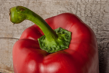 Similar image 11282799