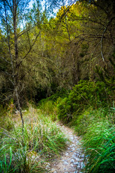 Similar image 11282586