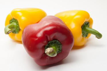 Similar image 11282602