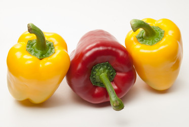 Similar image 11282607