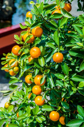 Similar image 11282610