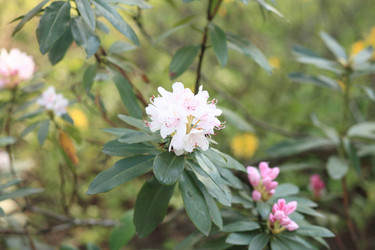 Similar image 11277165