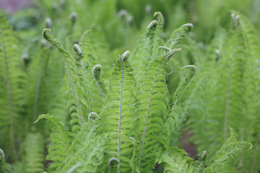 Similar image 11277174