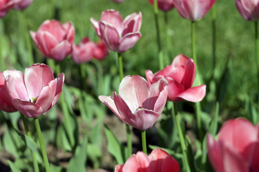 Similar image 11277197