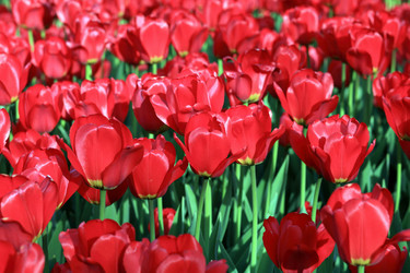 Similar image 11277115