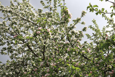 Similar image 11277121